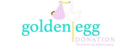 Provider Logo